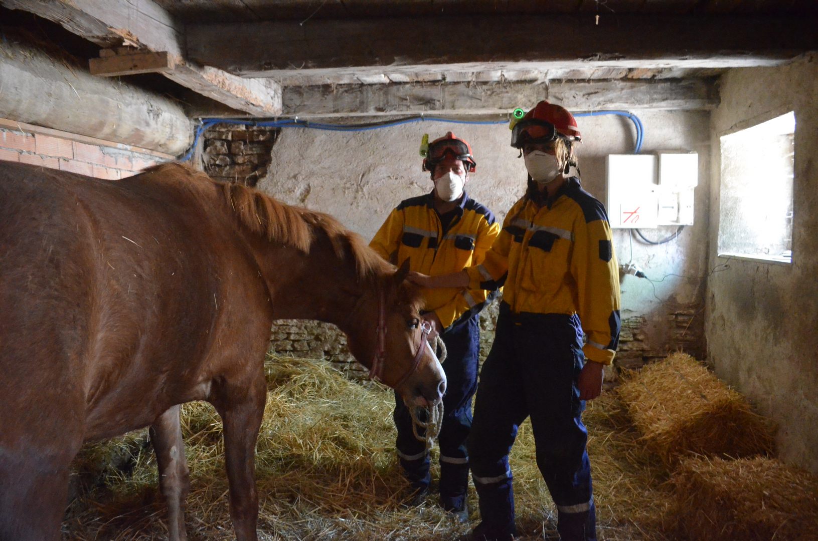 Sauvetage d'une jument 07/05/2020