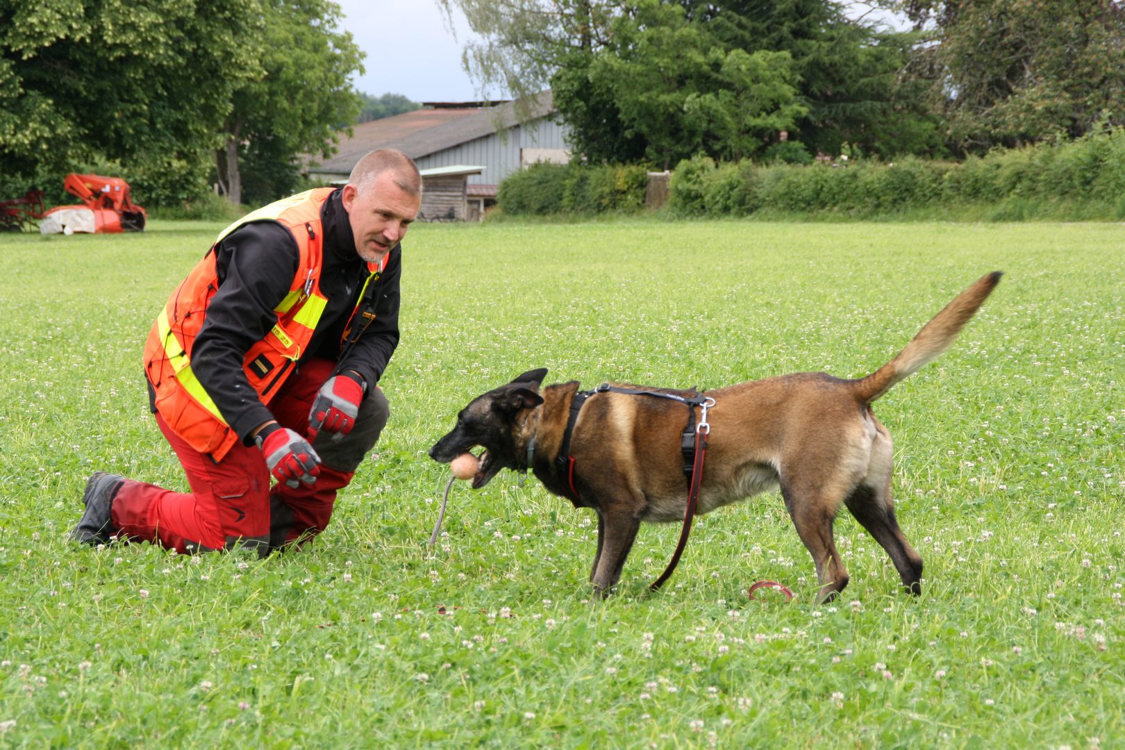 Formation équipes Cynotechniques 05/06/2020